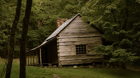 Wooden cabin in autumn woods, simple shelter aesthetic