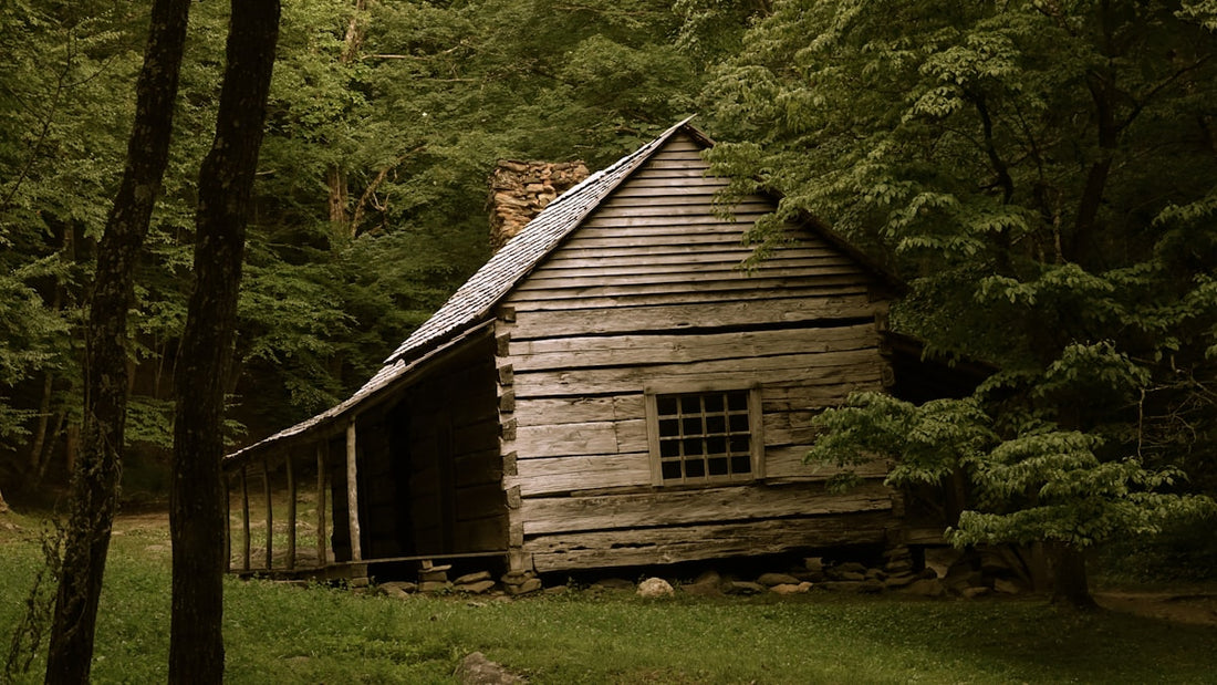 A weathered wooden cabin with a covered porch nestled in a dense green forest