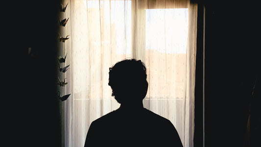 Person silhouetted in front of a curtained window with paper cranes hanging beside them