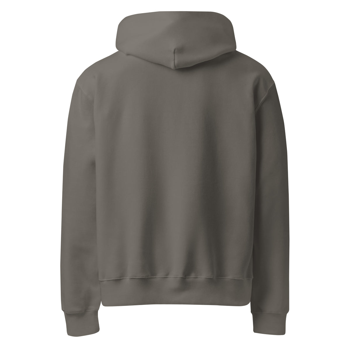 Department of Doing Whatever Oversized Hoodie in asphalt, back view with no print