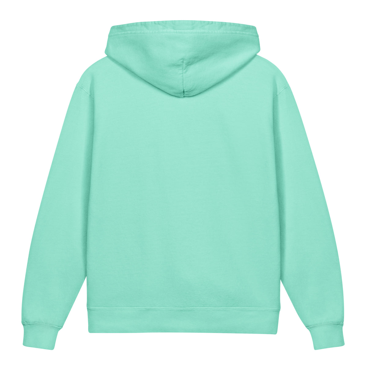 Create Mode Youth Lightweight Hooded Sweatshirt in chalky mint, back view