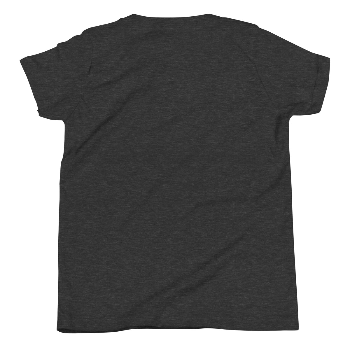 Wrong Number Youth Short Sleeve T-Shirt in dark grey heather, blank back view showing the garment colour and fit